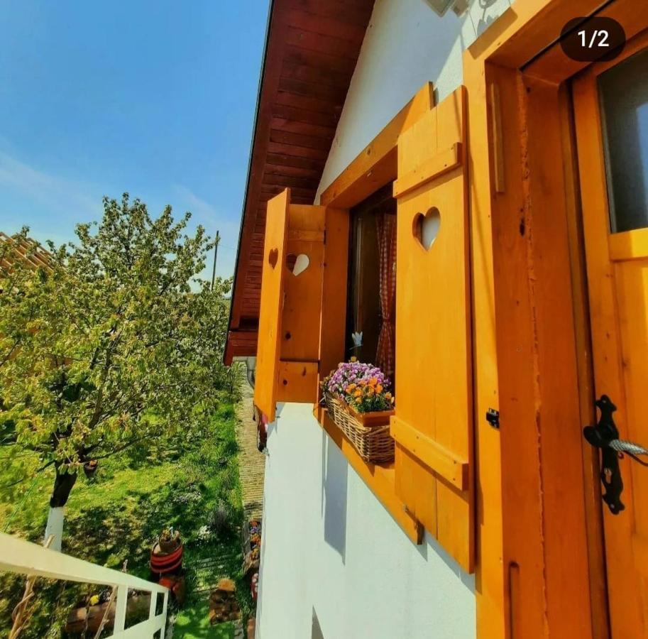 Kuca Za Odmor "Dva Srca" 호텔 Ceminac 외부 사진